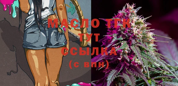 твердый Ельня