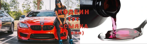 твердый Ельня