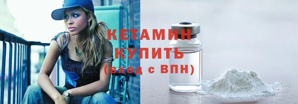 твердый Ельня