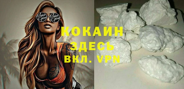 твердый Ельня