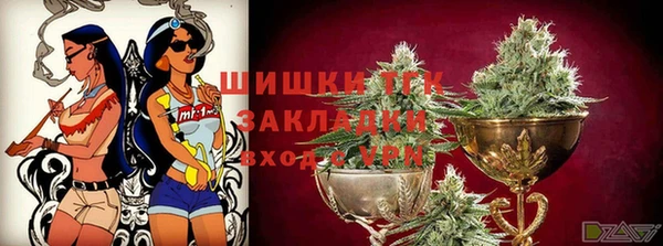 твердый Ельня