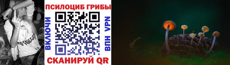 Купить Стерлитамак Псилоцибиновые грибы MAGIC MUSHROOMS